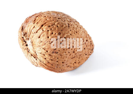 Ensemble écrou d'amandes en coque isolé sur fond blanc. Photo Gros plan Banque D'Images