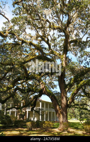 Eden Gardens State Park parc avec le style plantation house de William Henry Wesley au milieu d'imposants chênes vivent à Santa Rosa Beach Floride USA. Banque D'Images