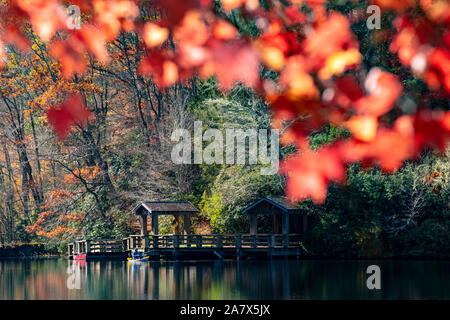 Pêcheur sur le lac Balsam - Roy Taylor forêt dans la forêt nationale de Nantahala, Canada, North Carolina, États-Unis Banque D'Images