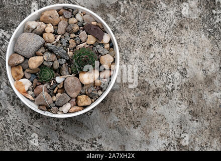 Pot avec de petites pierres et cailloux et deux petits cactus sur sol en béton Banque D'Images