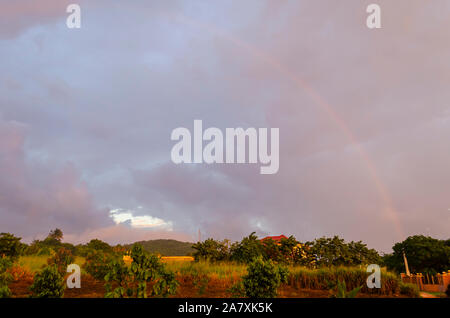 Soir de pluie Couleurs dans la Jamaïque Banque D'Images