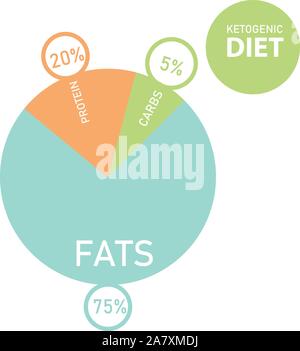 Régime cétogène schéma macros, faible en glucides, lipides sains élevés pour l'illustration vectorielle infographie titre - qu'est-ce qu'il Illustration de Vecteur