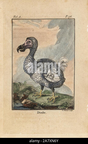 Raphus cucullatus, Dodo, oiseau disparu. La gravure sur cuivre coloriée par C. Martin, de Oliver Goldsmith's Histoire de la Terre et Nature, Nourse, Londres, 1774. Banque D'Images