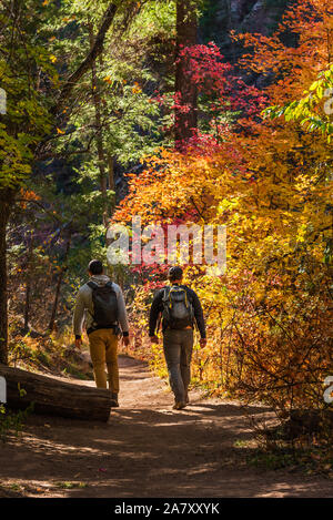 Deux hommes les randonneurs randonnée le Sentier # 108 West Fork Oak Creek, près de Sedona au cours de l'automne saison des couleurs éclatantes dans lequel les arbres de chêne sont colorés avec des ye Banque D'Images