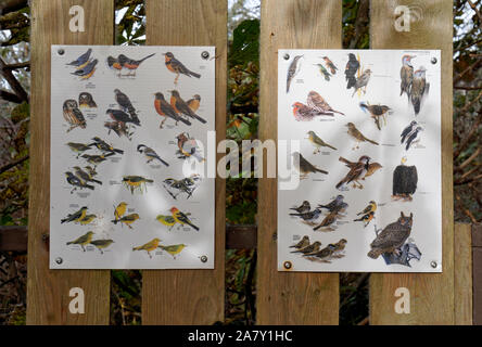 L'identification des oiseaux d'interprétation des affiches sur une clôture en bois à la George C. Reifel Migratory Bird Sanctuary, Delta, BC, Canada Banque D'Images