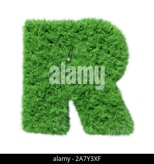 Lettre de l'alphabet, R. Grass isolated on white 3D illustration. Banque D'Images