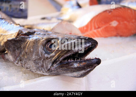 Vue rapprochée d'un barracuda et le saumon sur le marché aux poissons à Nice, France Banque D'Images