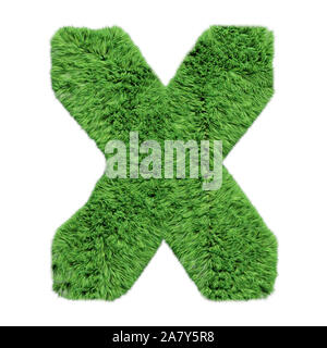 Alphabet lettre X., Grass isolated on white 3D illustration. Banque D'Images