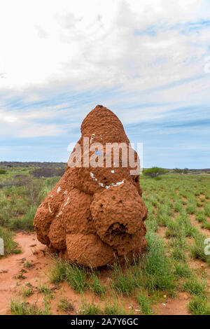 Termitière en Australie de l'Ouest dessert, l'ouest de l'Australie Banque D'Images