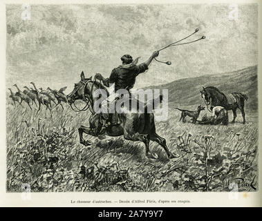 Le chasseur d'autruches. Gravure de Alfred Paris, pour illustrer le recit d'un voyage la Plata, en 1886, par Emile Daireaux , dans le tour du monde 1888, s Banque D'Images