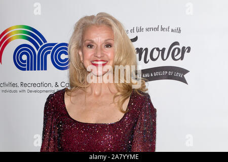 VAN Nuys, Californie - 1 novembre, 2019 : le chiffre d'affaires Salles de cinéma Premiere au Regency Theatre. Célébrités, cast and crew, famille et amis ont été Banque D'Images