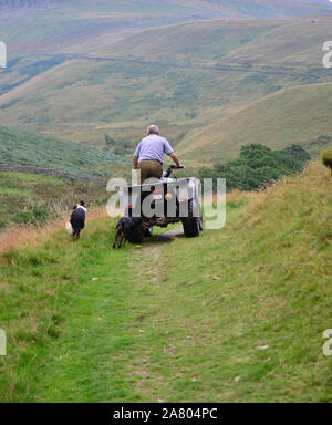Agriculteur sur quad avec les chiens en Pyrenees Banque D'Images