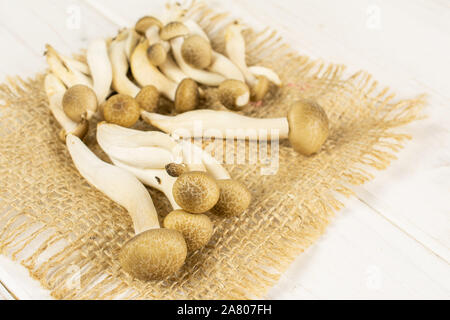 Beaucoup d'entiers et frais, de champignons shimeji buna brun sur les sacs sur bois blanc Banque D'Images