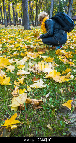 Girl picking l'automne les feuilles sèches du sol Banque D'Images