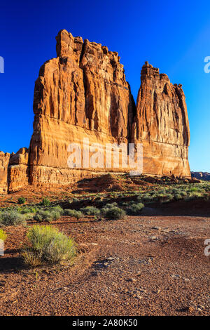 Tour Palais Rock formation composition verticale dans le désert de l'Arches National Park, Utah Banque D'Images