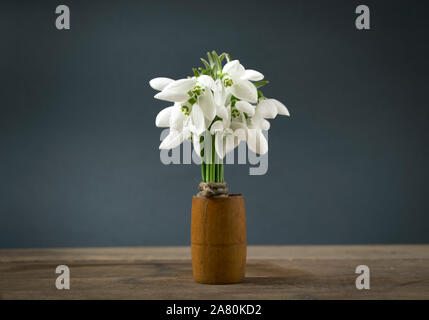 Bouquete de perce-neige fraîche sur la table en bois sombre, photo. Banque D'Images