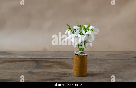 Bouquet de perce-neige sur fond de bois. Banque D'Images