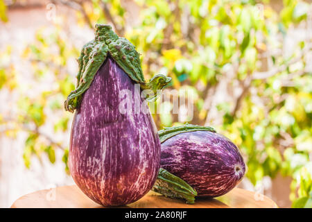 Deux aubergines mûres sur un tableau noir Banque D'Images