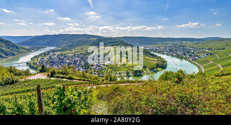 Panorama d'un méandre de la Moselle autour de village le loup, l'Allemagne, voir à partir de la crête de montagne près de Mont Royal Banque D'Images