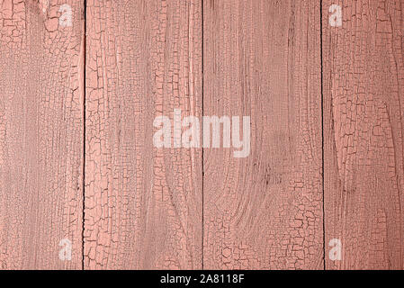 Close-up of natural vieille planches en bois peint de couleur corail vivre avec des fissures. Arrière-plan avec la disposition verticale et copiez l'espace. Vue de dessus. Banque D'Images