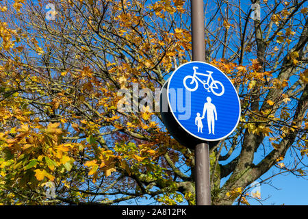 Une voie cyclable et passage piétons panneau d'avertissement sur un lampadaire Banque D'Images