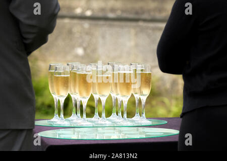 Un plateau de verres de lunettes ou rempli de champagne et en attente d'être prises par des invités lors d'une réception de mariage Banque D'Images