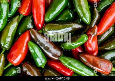 Tas de piments jalapenos à différents stades de maturation dans le marché Banque D'Images