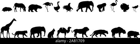 Ours éléphant silhouette blanche trot zebra canard sur un fond blanc. Illustration de Vecteur