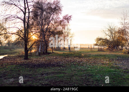 Parc de la Alleyway à la fin de la saison d'automne, Usedom Island sur la côte Baltique. Banque D'Images