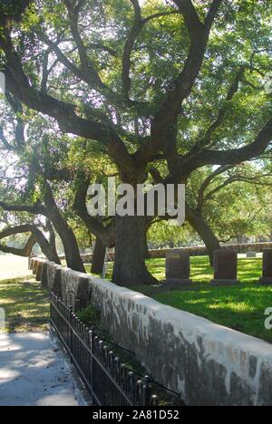 Le site d'enfouissement de Lyndon B Johnson et Claudia Alta "Lady Bird Johnson'. Banque D'Images