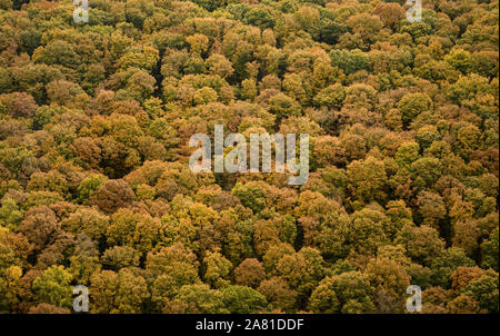 Château Drogo, gorge Teign, Devon. 5th novembre 2019. Météo au Royaume-Uni : une palette spectaculaire de couleurs d'automne à Teign gorge. Une vue sur la cime révèle que la plus belle couleur reste malgré les récents vents forts. Crédit : PQ/Alay Live News. Banque D'Images