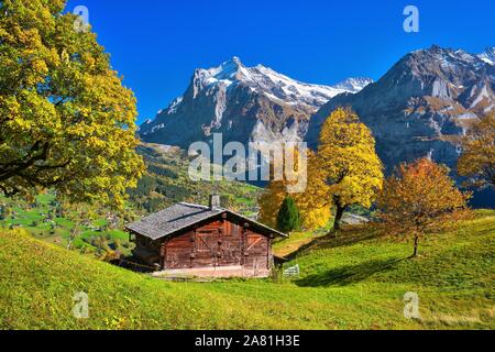 Chalet de montagne au-dessus de Grindelwald Wetterhorn, Tm à l'arrière, Grindelwald, Canton de Berne, Suisse Banque D'Images
