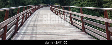 Cycle Path Trestle Banque D'Images