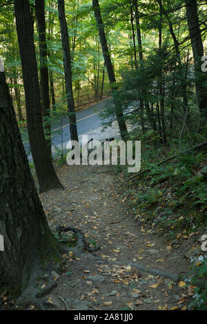 Sentier de randonnée sur la montagne de Skinner à South Hadley, Massachusetts, à l'automne. Banque D'Images