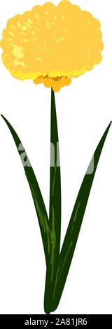 Pissenlit fleur, illustration, vecteur sur fond blanc. Illustration de Vecteur