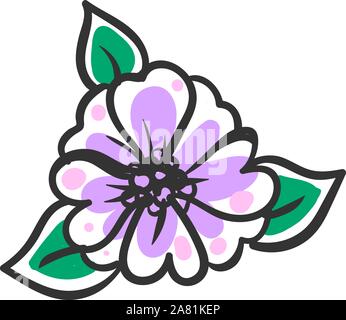 Jasmine dessin, illustration, vecteur sur fond blanc. Illustration de Vecteur