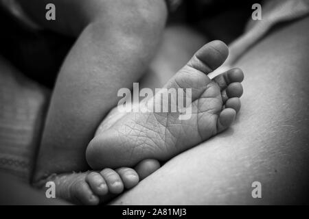 Peu de nouveau-né pieds en noir et blanc. Banque D'Images