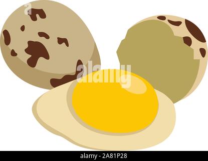 Oeufs de cailles, illustration, vecteur sur fond blanc. Illustration de Vecteur