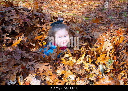 Cute Girl Jeune de tomber pile de feuilles colorées Banque D'Images