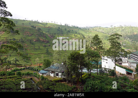 Plateau Damro Estate et l'usine, près de la colline de Nuwara Eliya, Sri Lanka, pays Banque D'Images