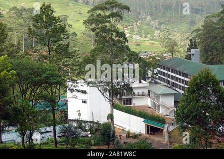 Plateau Damro Estate et l'usine, près de la colline de Nuwara Eliya, Sri Lanka, pays Banque D'Images