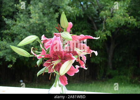 Bouquet de Lys Mlle Feya Banque D'Images