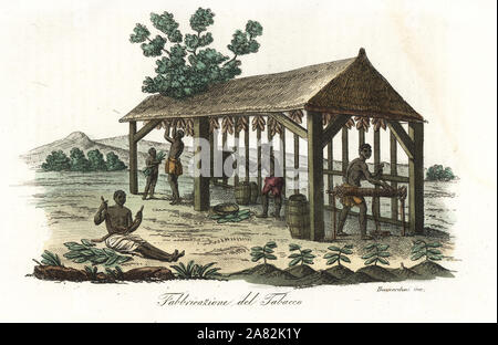 La récolte des esclaves et le séchage des feuilles de tabac sur une plantation en Virginie, 18e siècle. La gravure sur cuivre coloriée par Sasso de Giulio Ferrario's costumes anciens et modernes de tous les peuples du monde, Florence, Italie, 1837. Banque D'Images