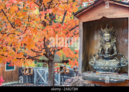 Statue de Bouddha. Tara Verte dans boîtier en bois avec scène d'automne érable rouge et orange Banque D'Images