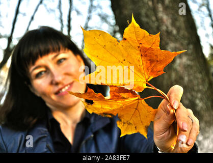 Bouquet de feuilles jaunes d'automne. Tient dans sa main une belle jeune femme, hors focus. Vitres teintées Banque D'Images