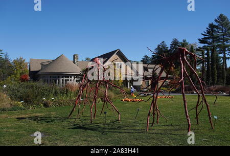 Boothbay, ME / USA - 19 octobre 2019 : Centre d'accueil dans les jardins botaniques de la côte du Maine décorée avec une installation de Steve Tobin racines en acier Banque D'Images