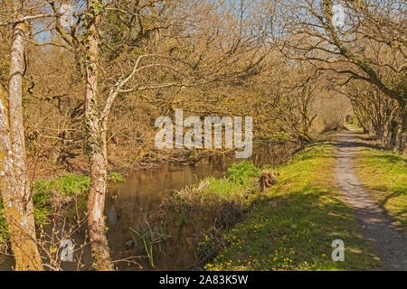 Réserve naturelle du Canal de Swansea, près de Godre'r-graig, Neath Port Talbot, Pays de Galles, UKl Banque D'Images