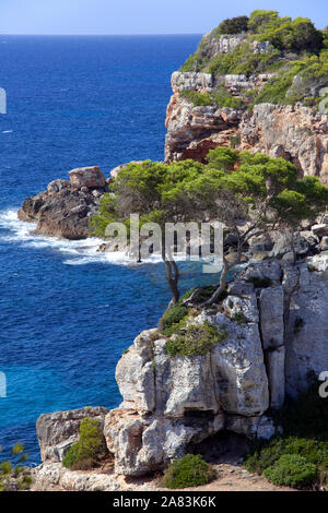 Côte Rocheuse à Cala de s'Almonia, Cala Llombards, Santanyí, Mallorca, Iles Baléares, Espagne Banque D'Images