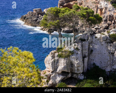 Côte Rocheuse à Cala de s'Almonia, Cala Llombards, Santanyí, Mallorca, Iles Baléares, Espagne Banque D'Images