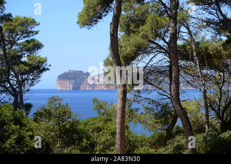 Pins dans le promontoire de Punta Giglio du Parc Naturel de Porto Conte près d'Alghero en Sardaigne, île. Capo Caccia falaise en arrière-plan Banque D'Images